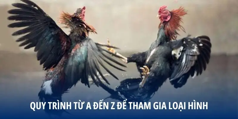 Quy trình từ a đến z để tham gia loại hình